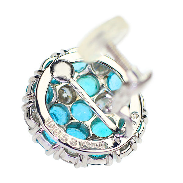 Pt900/K14WG ブラジル産パライバトルマリン ダイヤモンド イヤリング 3.51ct D1.07ct