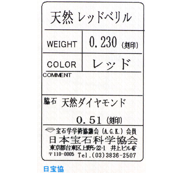 新品 Pt レッドベリル ダイヤモンド ペンダントネックレス 0.230ct D0.51ct 【エスコレ】