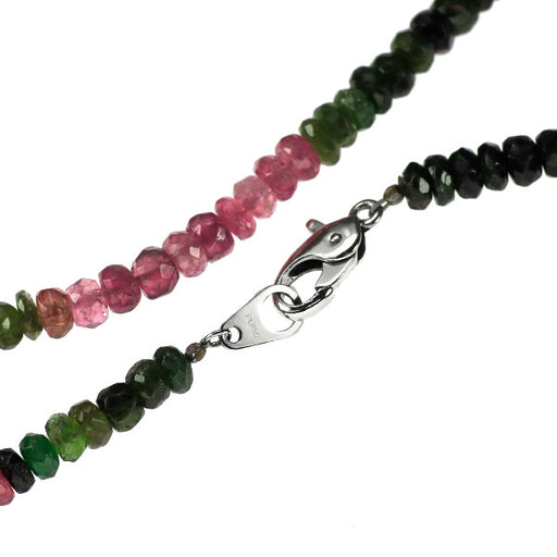 Pt850 マルチカラートルマリン ネックレス 90.00ct — セルビー