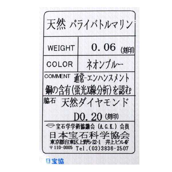 Pt900/ Pt850 パライバ トルマリン ダイヤモンド ペンダントネックレス 0.06ct D0.20ct