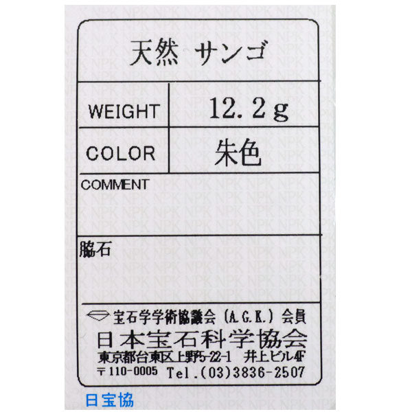 SV 珊瑚/サンゴ ペンダントトップ