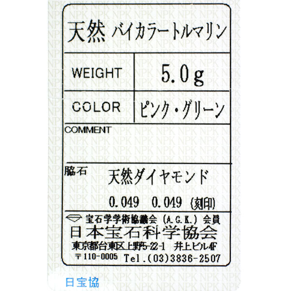 Pt900 バイカラートルマリン ダイヤモンド イヤリング D0.098ct 植物