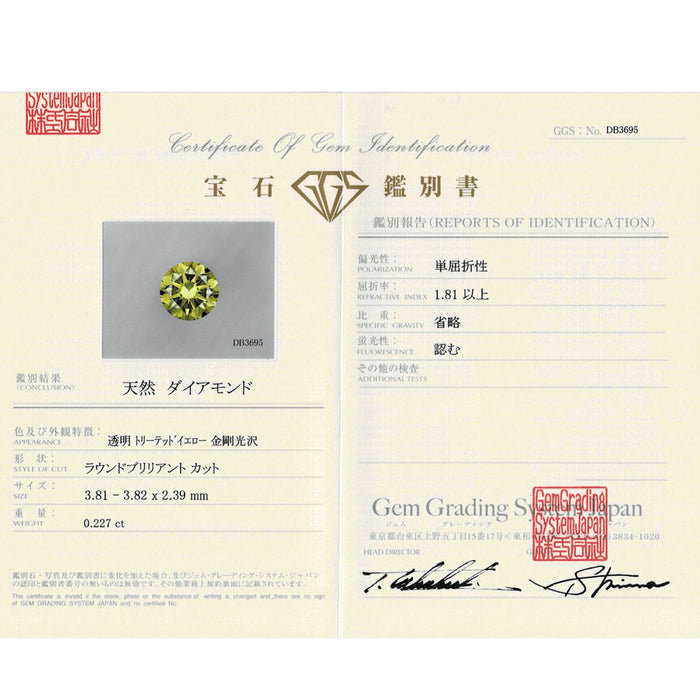 K18PG トリートイエローダイヤモンド ペンダントネックレス 0.227ct D0.01ct