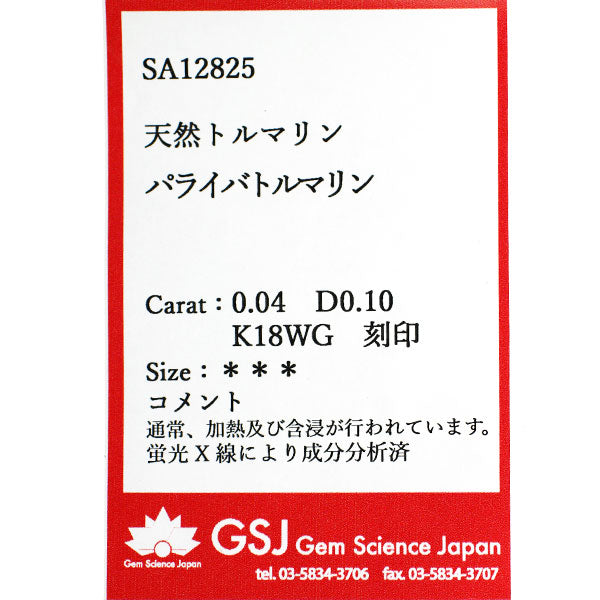 K18WG パライバトルマリン ダイヤモンド ペンダントネックレス 0.04ct D0.10ct クロス