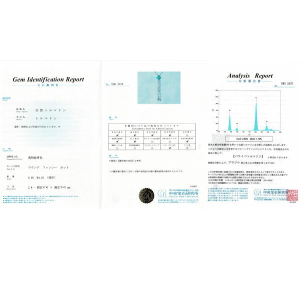 希少 K18WG ブラジル産パライバトルマリン ダイヤモンド ペンダントネックレス 0.26ct 0.22ct スライド Yデザイン 2way