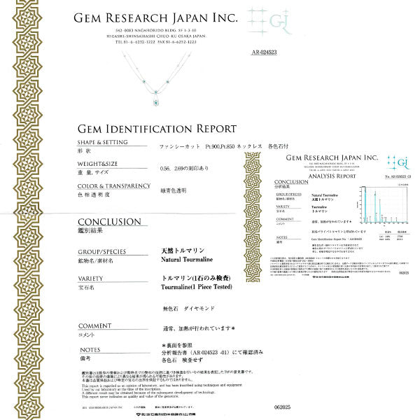 希少 Pt900/ Pt850 パライバトルマリン ダイヤモンド ペンダントネックレス 0.56ct D2.69ct フラワー ステーション