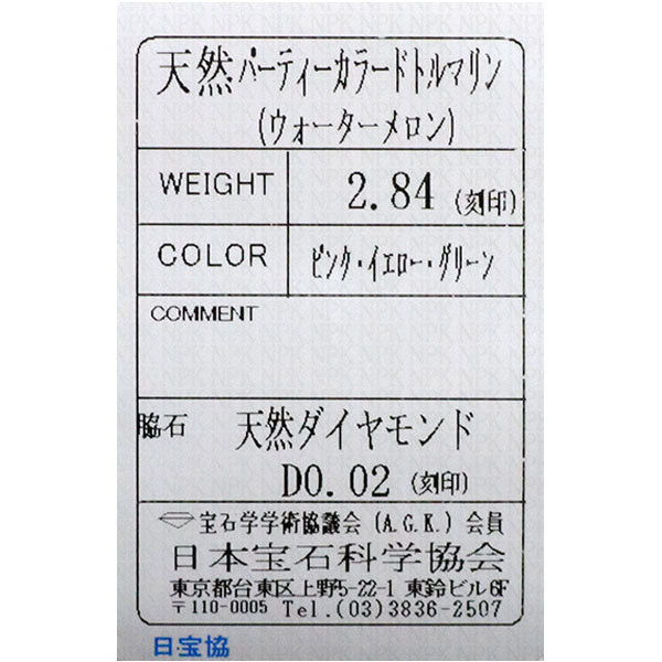 Pt900 ウォーターメロン/パーティカラード トルマリン ダイヤモンド ペンダントトップ 2.84ct D0.02ct