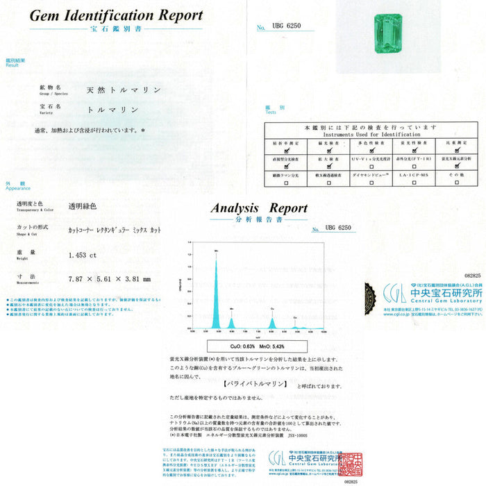 GIA/CGL鑑別2冊付 Pt900 モザンビーク産パライバトルマリン ダイヤモンド リング 1.453ct D0.194ct