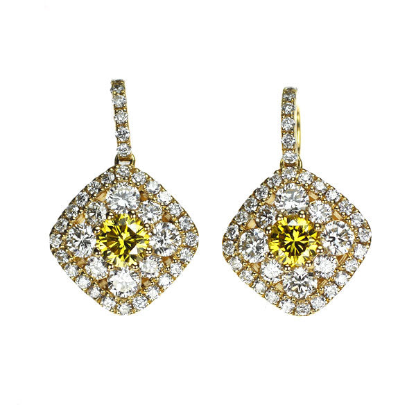 K18YG トリートイエロー/ カラーレス ダイヤモンド ピアス 0.30ct D0.66ct