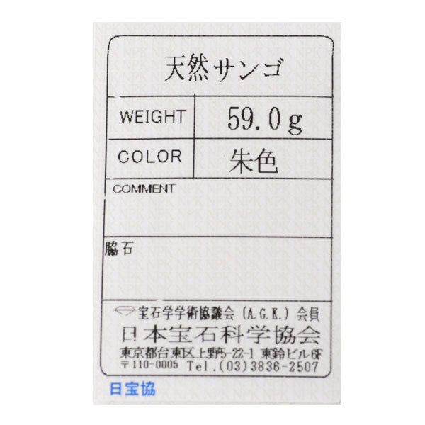 SV 珊瑚/サンゴ  ロング ネックレス 径約2.2mm 10連