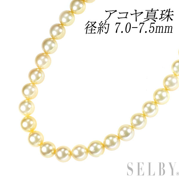 K18YG アコヤ ゴールデン系 ナチュラルクリーム パール ネックレス 径約 7.0-7.5mm