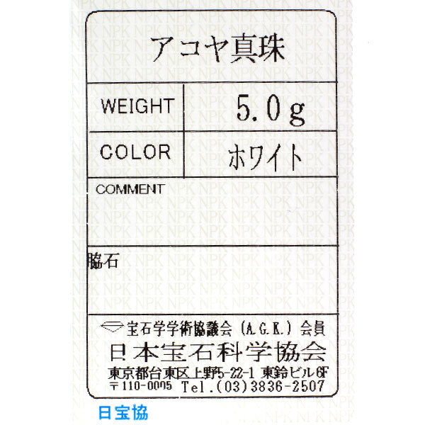 希少 K10WG アコヤ芥子/ケシ 真珠 ネックレス 幅約2.0mm前後 ロング