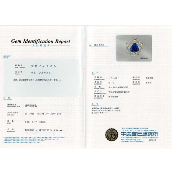 K18WG/ Pt850 タンザナイト ダイヤモンド ペンダントネックレス 2.85ct D0.17ct