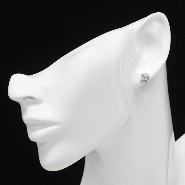 Pt950/ Pt900 プリンセスカット ダイヤモンド ピアス 0.46ct D0.22ct
