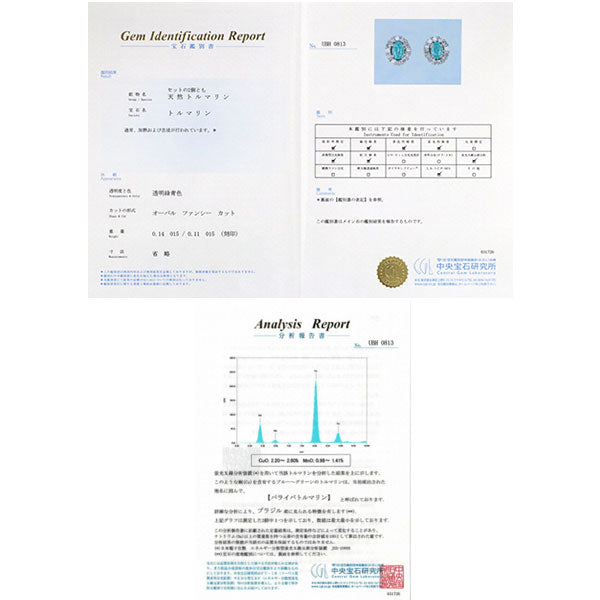 希少 Pt900/ Pt850 ブラジル産パライバ トルマリン ピアス 0.25ct D0.30ct