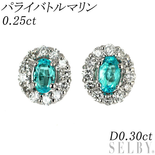希少 Pt900/ Pt850 ブラジル産パライバ トルマリン ピアス 0.25ct D0