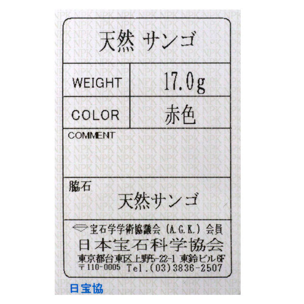 SV 丸玉 無着色 珊瑚/サンゴ ペンダントネックレス 径約4.5-8.4mm