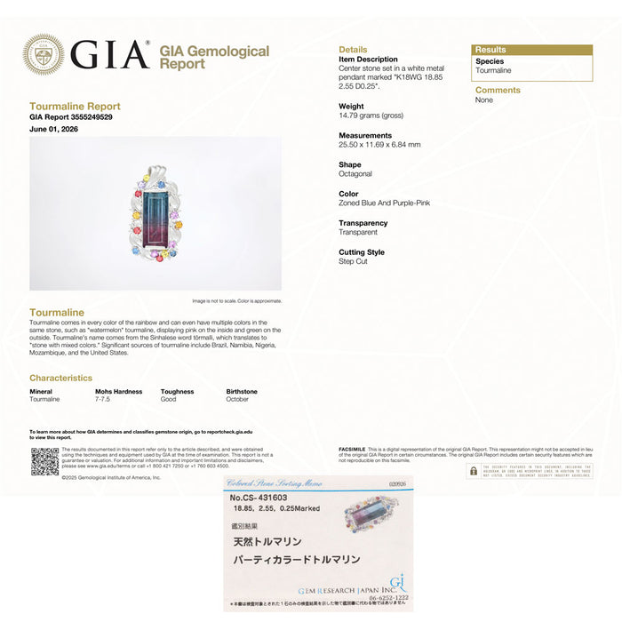 K18WG パーティーカラードトルマリン カラーサファイア ダイヤ ペンダントトップ 18.85ct CS2.55ct D0.25ct