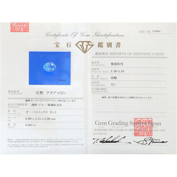 Pt900/ Pt850 サンタマリア アクアマリン ダイヤモンド ペンダントネックレス 0.605ct D0.12ct