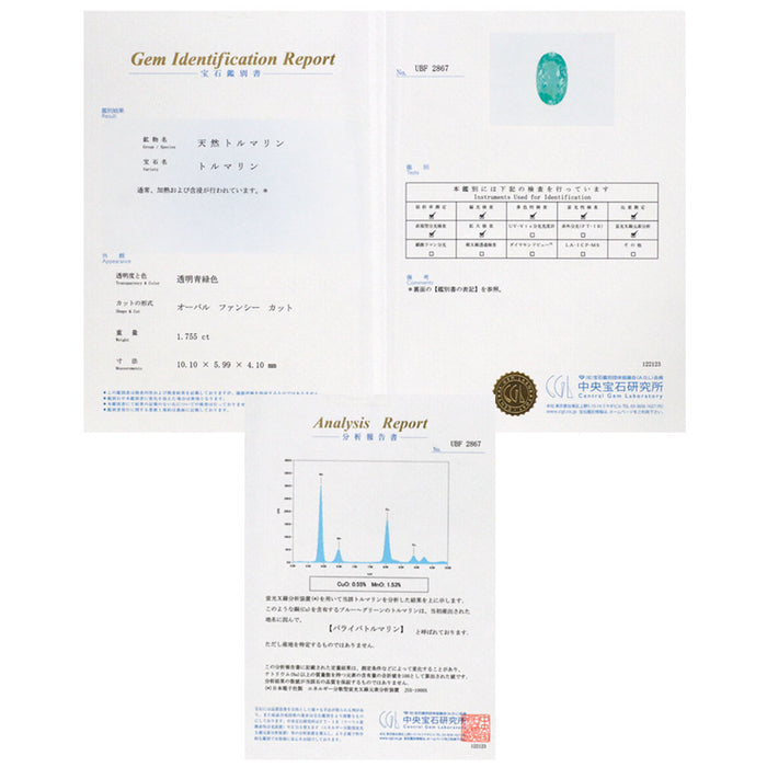 希少 Pt950 パライバトルマリン ダイヤモンド ブローチ 1.755ct D0.92ct 植物 フラワー カラー