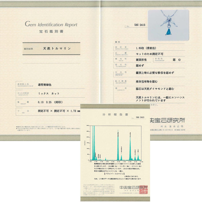 希少 Pt850 パライバ トルマリン ダイヤモンド ペンダントネックレス 0.13ct 0.25ct