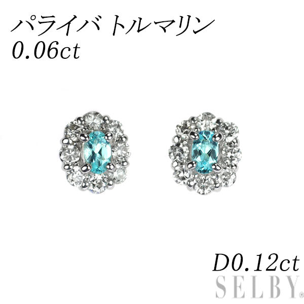 希少 Pt950/ Pt900 パライバトルマリン ダイヤモンド ピアス 0.06ct D0.12ct