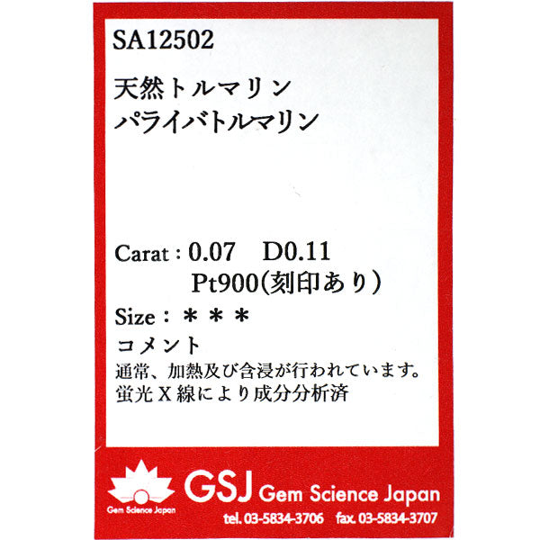 Pt900 パライバトルマリン ダイヤモンド ペンダントトップ 0.07ct D0.11ct