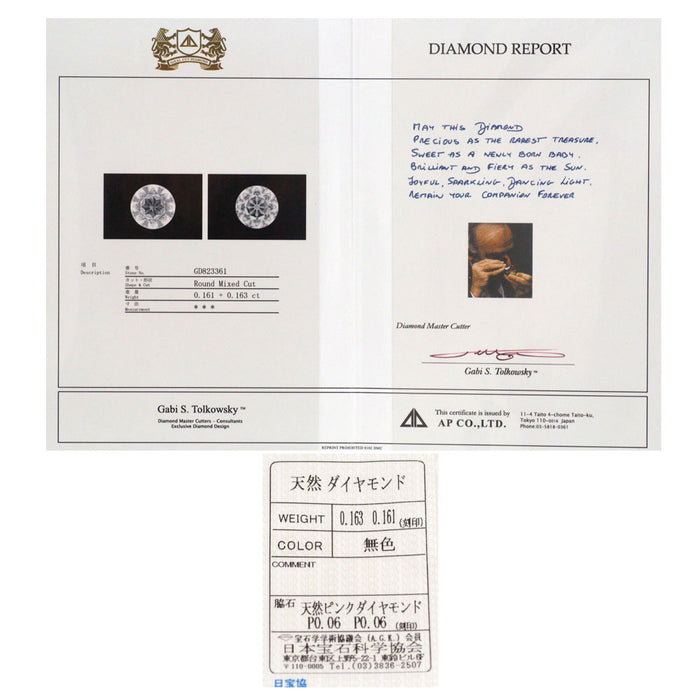 ガビ・トルコフスキー Pt900 アストラリス ダイヤモンド ピアス 0.324ct PD0.12ct