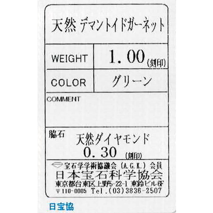 K18WG デマントイド ガーネット ダイヤモンド リング 1.00ct D0.30ct