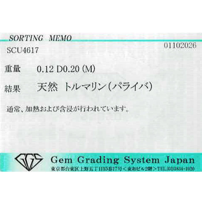 Pt900 パライバ トルマリン ダイヤモンド ペンダントトップ 0.12ct D0.20ct