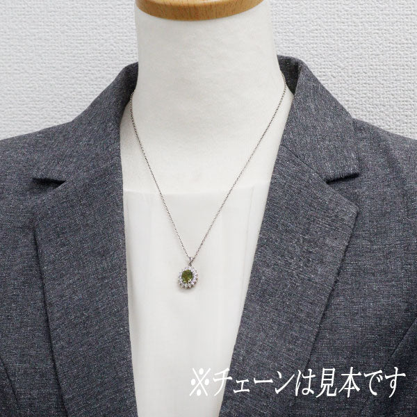 Pt900 コーネルピン ダイヤモンド ペンダントトップ 2.689ct D0.532ct 希少